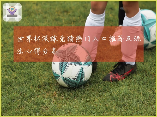 世界杯滚球竞猜热门入口推荐及玩法心得分享