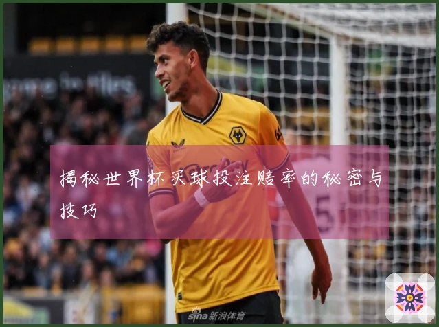 揭秘世界杯买球投注赔率的秘密与技巧