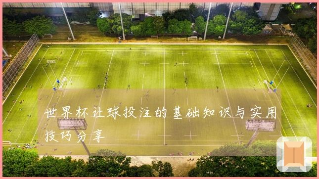 世界杯让球投注的基础知识与实用技巧分享
