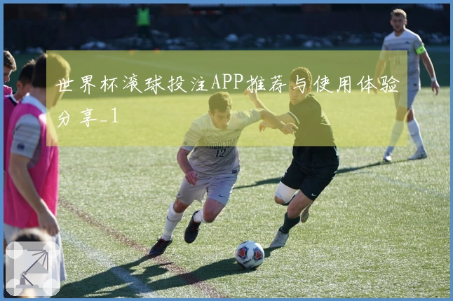 世界杯滚球投注APP推荐与使用体验分享_1